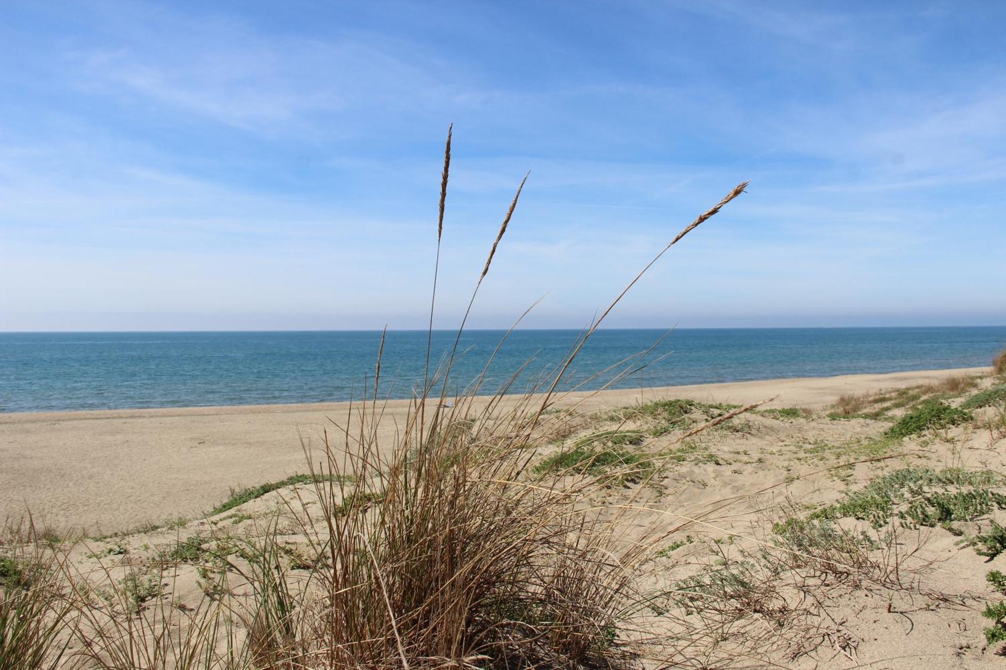 Appartamento Via Dei Fabbri Navali Lido di Ostia Exterior foto
